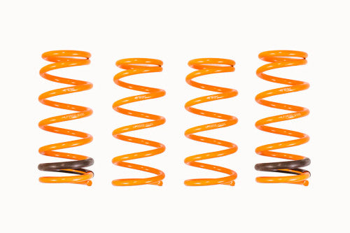 Ark Performance 2000-2009 Honda S2000 GT-F Lowering Springs LF0600-0105