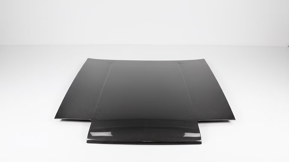 Carbon TRUNEO Bonnet