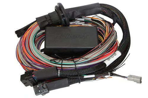 Elite 1500, 2500 & 2500 T Premium Universal Wire-in Harness - 3M Length: 3M (9.8') Haltech