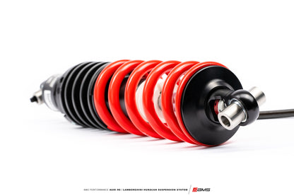 AMS Performance Audi R8 / Lamborghini Huracan Suspension System V2