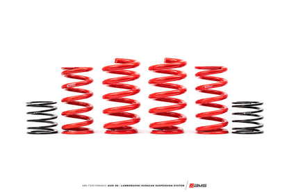 AMS Performance Audi R8 / Lamborghini Huracan Suspension System V2