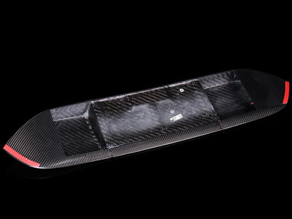 APR Performance Carbon Fiber License Plate Backing - 17-21 Civic Type R (FK8)
