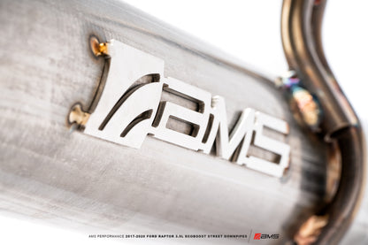 AMS Performance 2017-2020 Ford Raptor 3.5L EcoBoost Street Downpipes