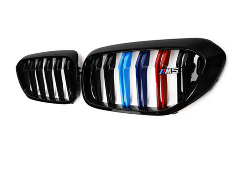 2018-2020 BMW M5 Kidney Grilles F90
