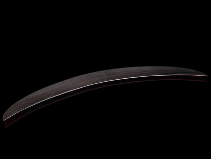 Seibon C-Style Carbon Fiber Rear Spoiler - 23+ Integra