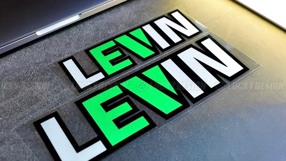 LEVIN EV DECAL