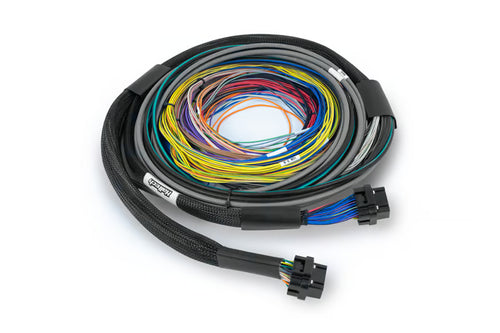 Nexus S3 / S2 Universal Wire-In Harness - 2.5m (8') Haltech